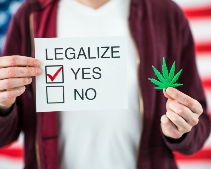 Cannabis legalization at the federal level could happen in late 2022, financial firm forecasts