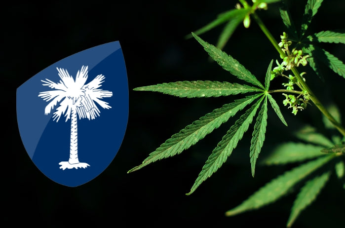 South Carolina Bans CBD and Intoxicating Hemp Derivatives Across the State