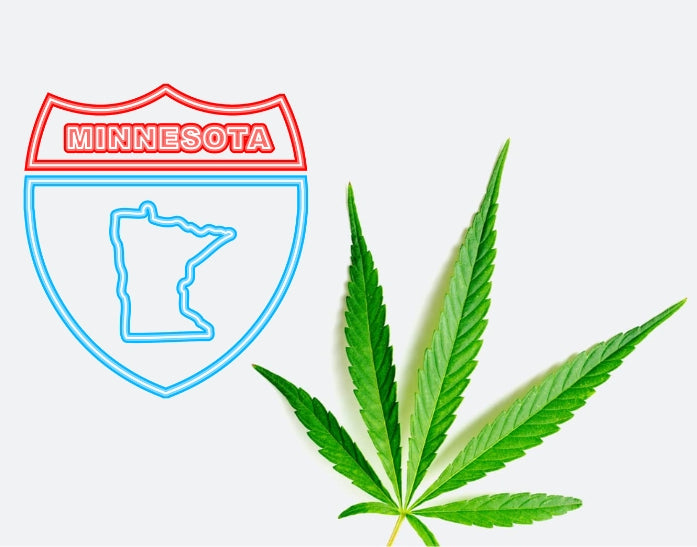 Minnesota’s Cannabis Legalization Bill Would Cause Massive Harm to Hemp Industry