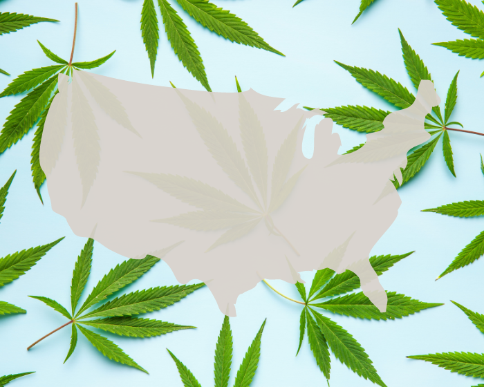 Is the Senate’s cannabis decriminalization bill bad for hemp?