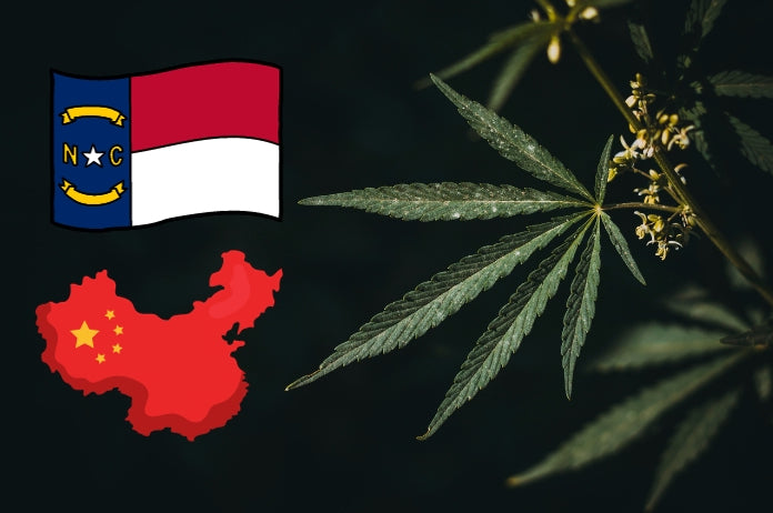 Chinese Hemp Company Invests $10 Million in New North Carolina Processing Factory