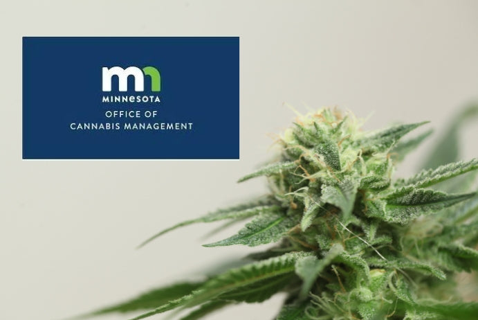 Minnesota Cannabis Regulators Seek to Place Raw and Unprocessed THC Flower Under Their Regulatory Control