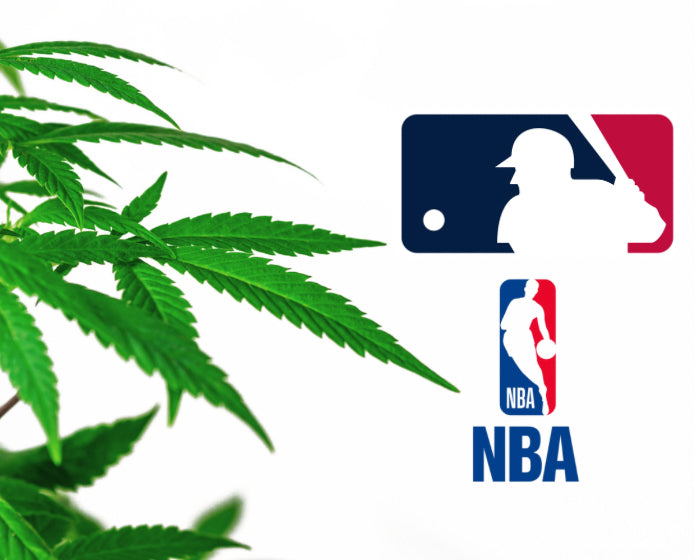 American Pro Sports Leagues Embrace CBD And Cannabis