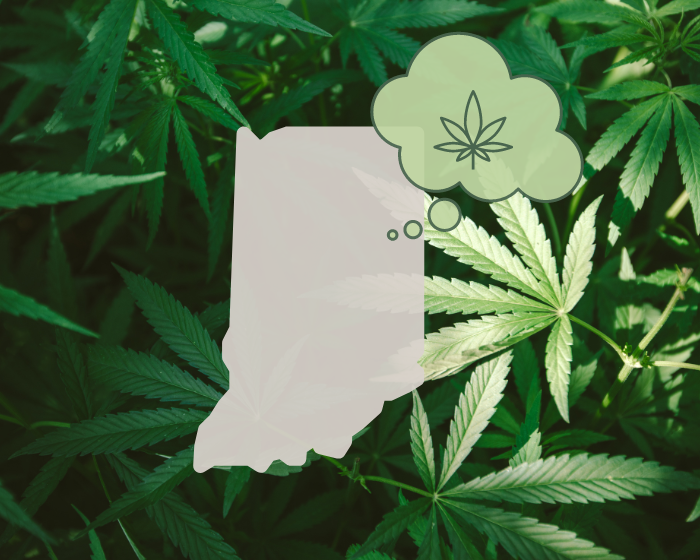 Indiana lawmakers will discuss regulating delta-8, decriminalizing delta-9 cannabis