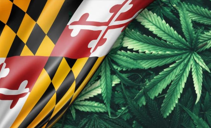 Maryland Hemp Businesses Suing Governor and State Agencies Over New Law Threatening CBD Market