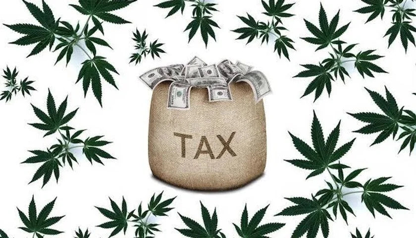 States Have Collected Over $20 Billion in Adult-Use Cannabis Tax Revenues Since First Legal Markets Opened