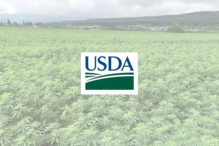 USDA Grants Hemp Association $745,000 to Promote the Emerging Industry in New Global Markets