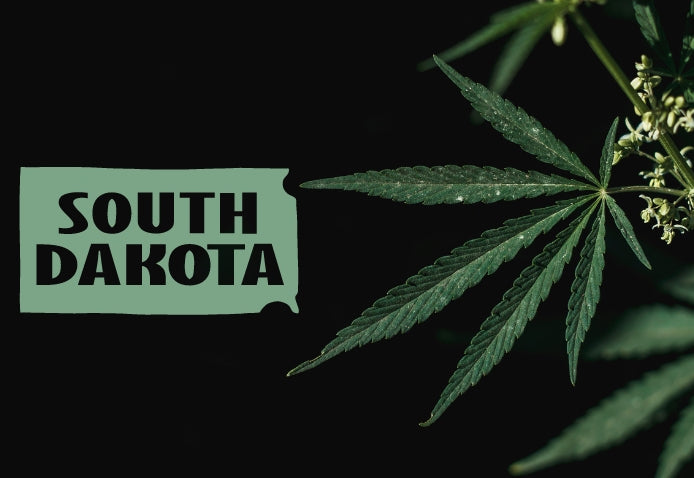 South Dakota Set to Join Growing List of States Banning All Hemp-Derived Products