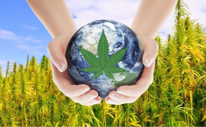 Looming Shortage of Carbon Credits Could Boost Hemp Industry