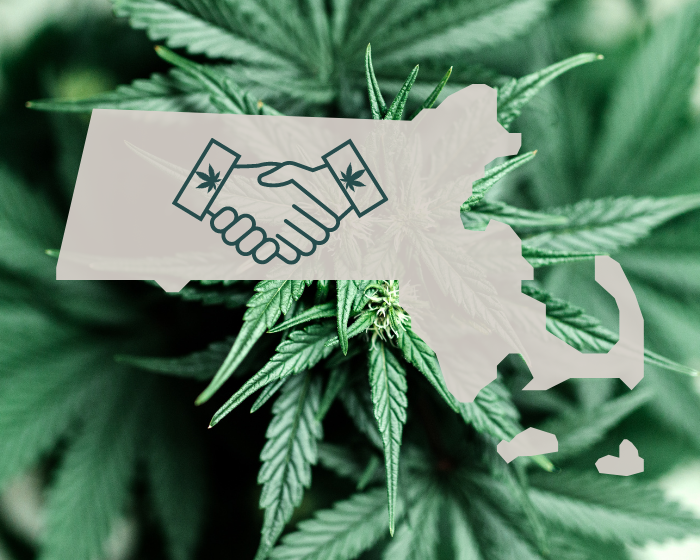 In Massachusetts, hemp and cannabis businesses strike partnerships