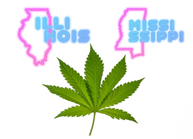 Mississippi and Illinois to Place Intoxicating Hemp Derivatives Under Regulated Marijuana Programs