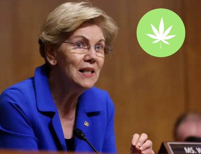 Sen. Warren Pushes for Laws to Keep Big Tobacco and Amazon from Dominating Legal Cannabis Industry