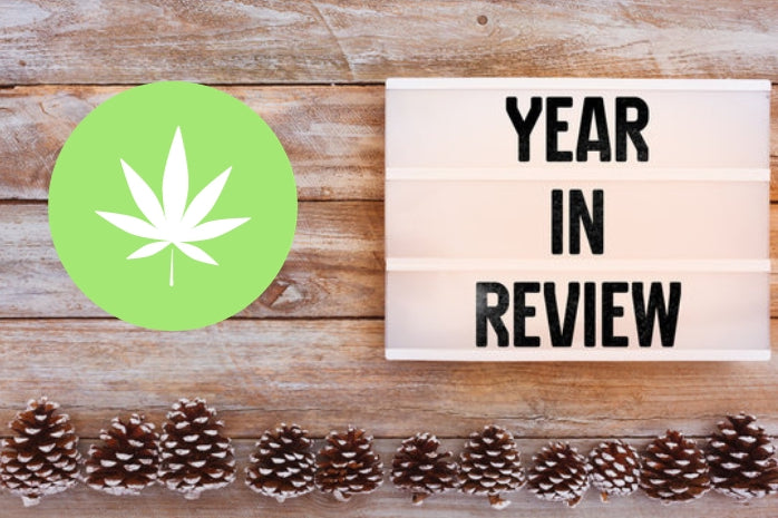 Top Hemp/Cannabis News Stories of 2023 - The Hemp v. Cannabis Civil War