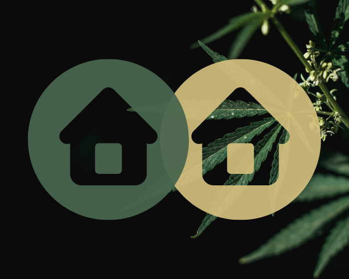Does hemp housing live up to the eco-hype? One group aims to find out.