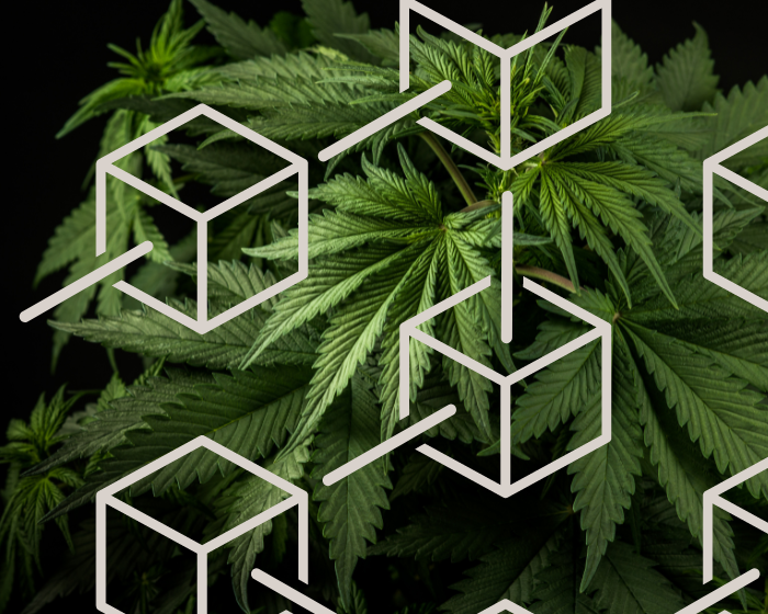 What's The Hemp Blockchain?