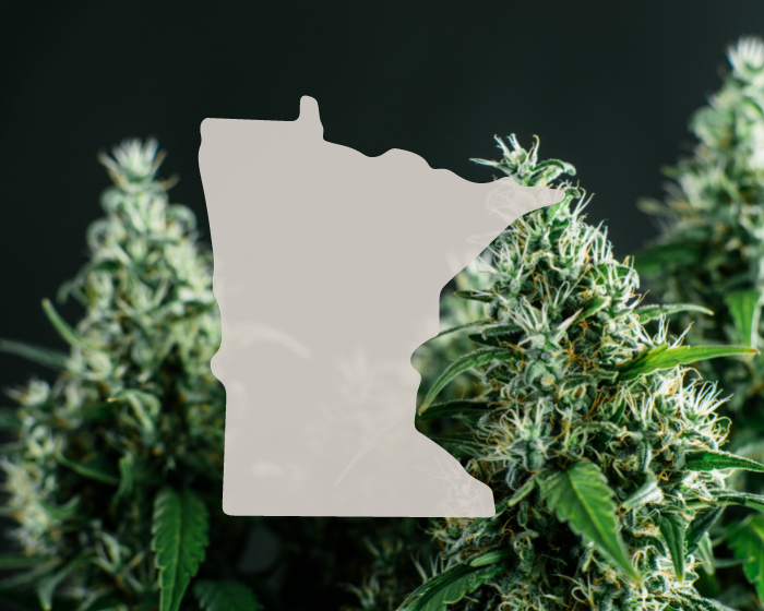 Support for recreational cannabis grows in Minnesota