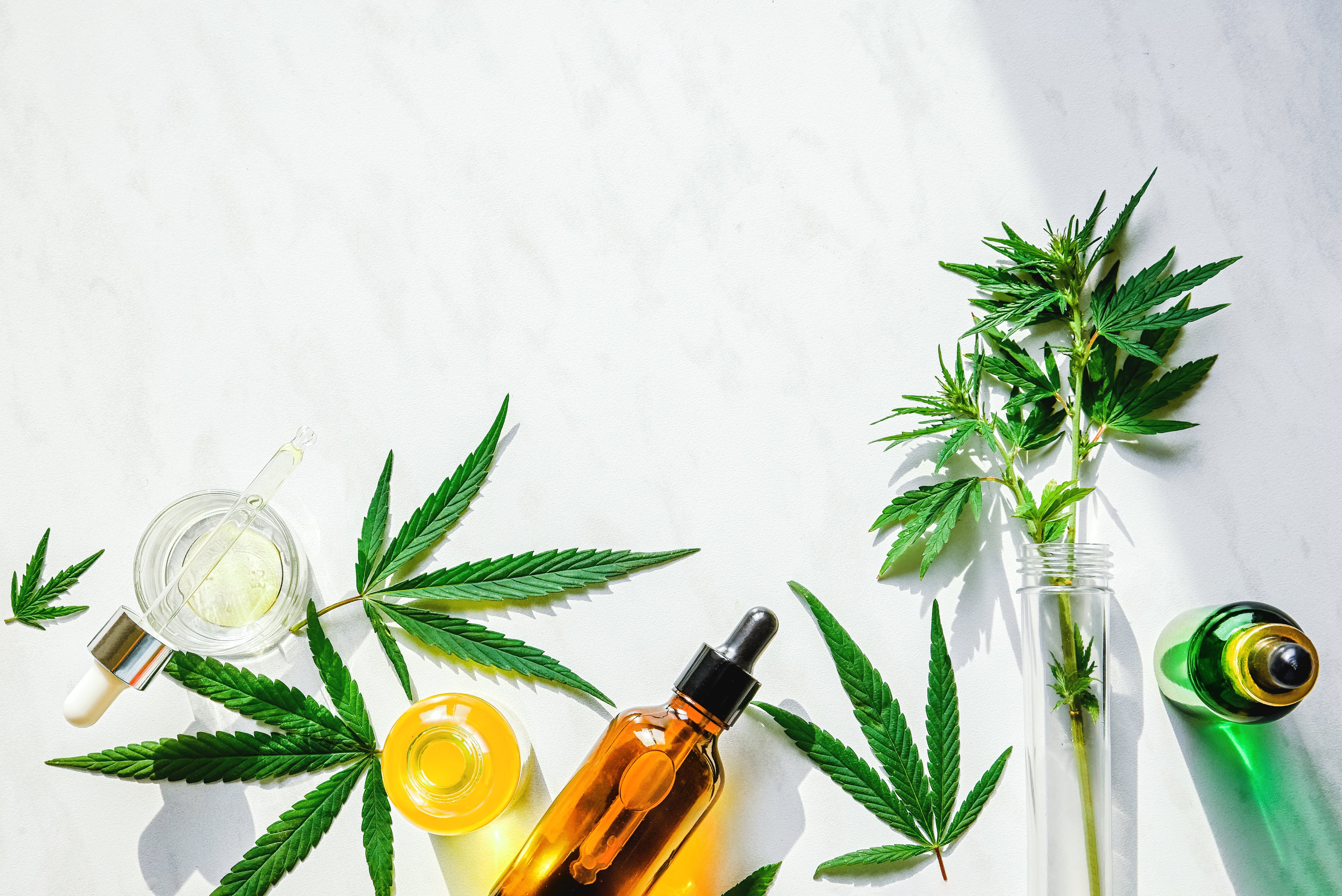 CBD scammers keep claiming it can cure COVID-19, but reality is more complicated