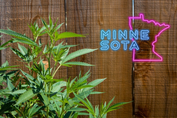 Social Equity Mandate Could Severely Delay the Launch of Minnesota’s Adult-Use Cannabis Market