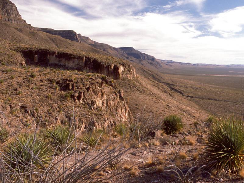 Navajo Nation sues over hemp dispute