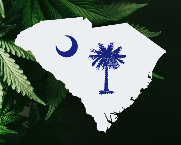 Is delta-8 THC legal in South Carolina? State AG’s office says, 'Nope.'