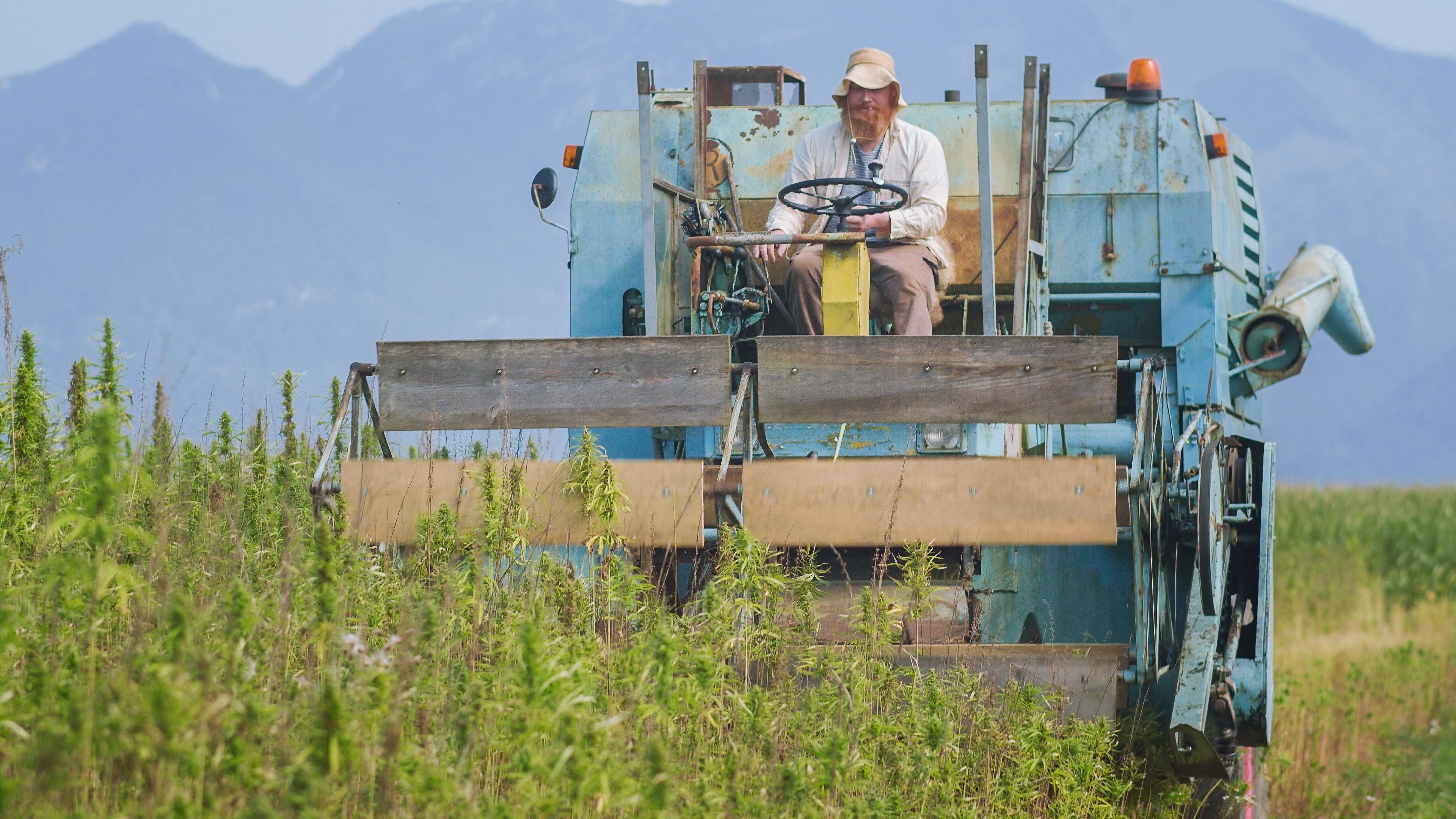 Humboldt County, California, permanently bans hemp cultivation