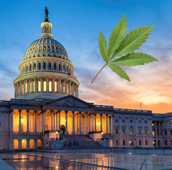 House Agriculture Committee Approves Amendment Banning Intoxicating Hemp Derivatives in Farm Bill