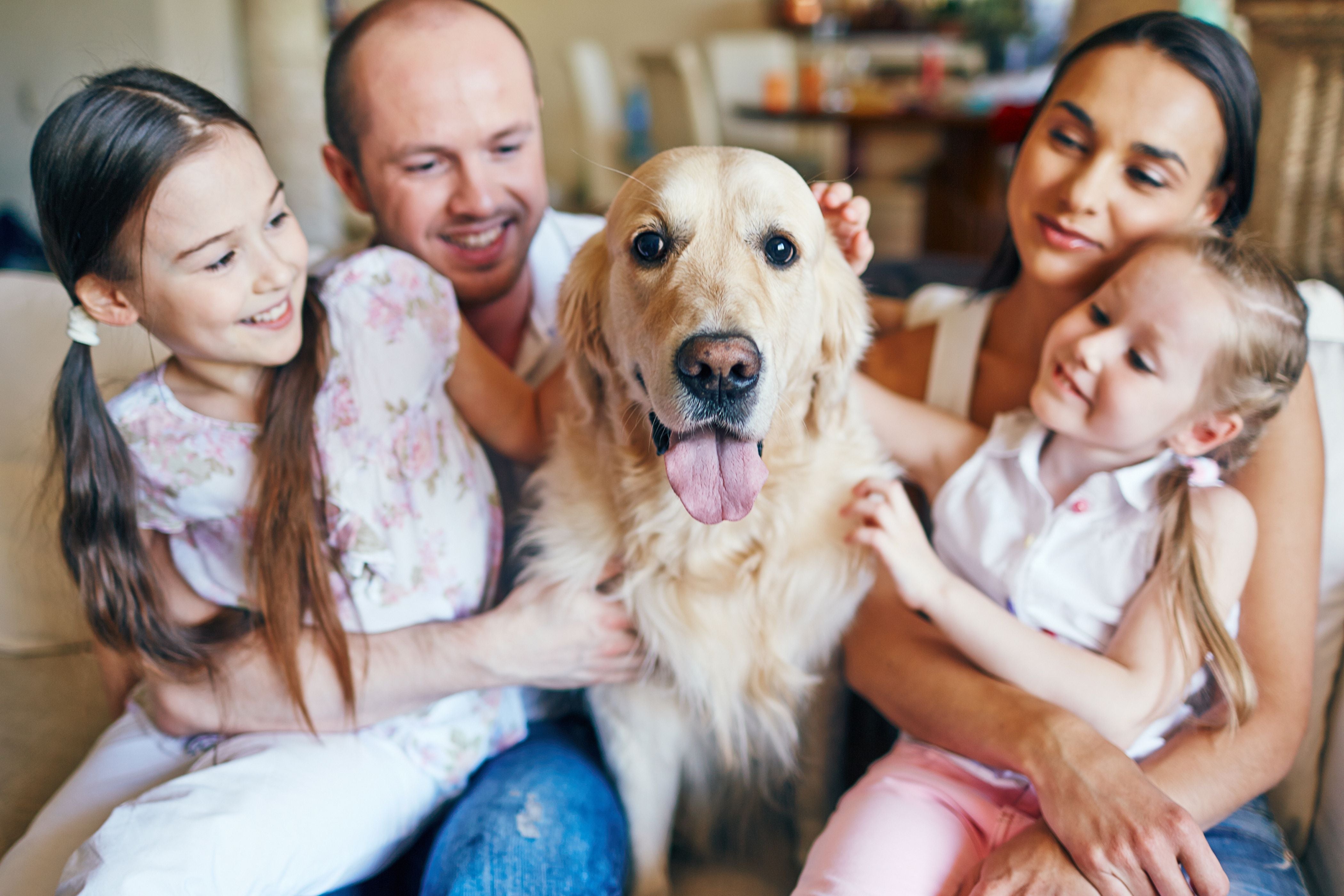 Michigan veterinarians can now talk CBD with pet owners