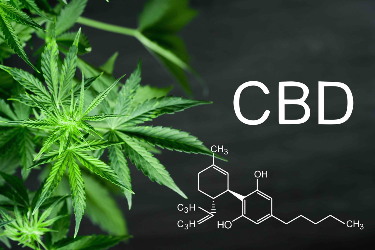 Big Pharma is Trying to Take Over the CBD Industry