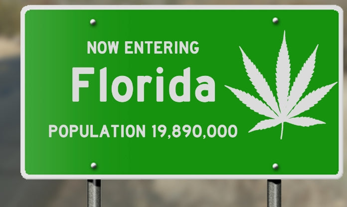 Florida Supreme Court to Hear Challenge to Cannabis Legalization Ballot Initiative