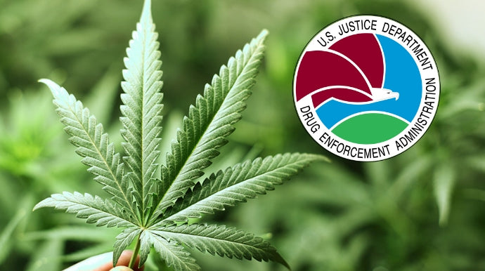 Is the DEA Close to Making a Decision on Cannabis Rescheduling?