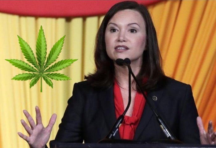 Florida Attorney General Argues to Keep Cannabis Legalization Measure Off the 2024 Ballot