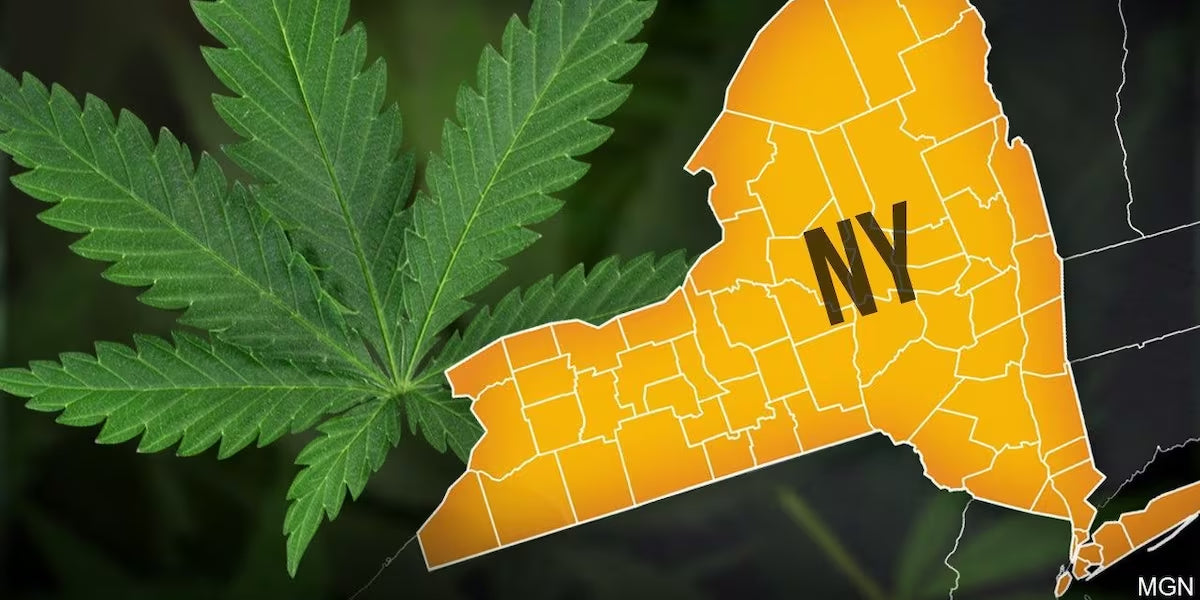 New York Hemp Industry Suffers a Defeat in Federal Court Over New Restrictive Guidelines Concerning Intoxicating Hemp Cannabinoids