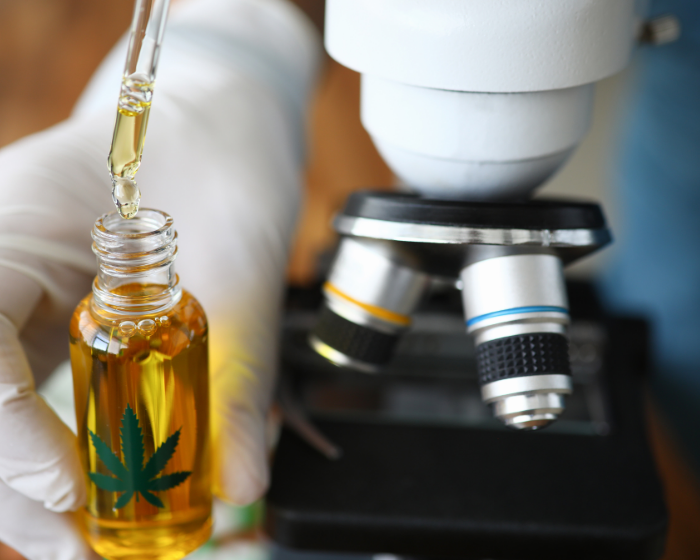 Additional studies find CBD may prime cells against COVID and reduce lung damage