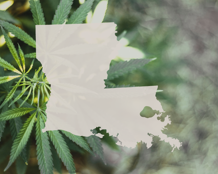Louisiana sets 8 mg per serving limit on hemp THC