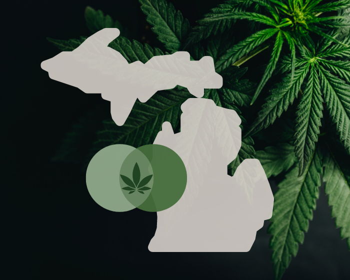 Michigan combines hemp and cannabis agencies to send more funds to schools, roads and first response