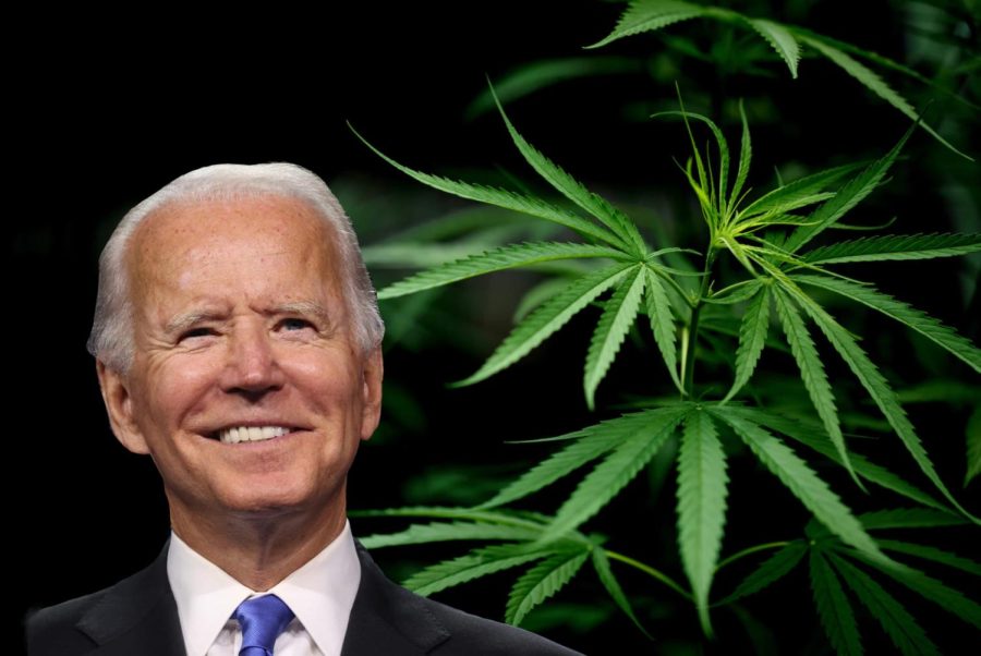 New Democratic Research Firm Poll Reveals That Rescheduling Cannabis Could Decide the Upcoming Presidential Election