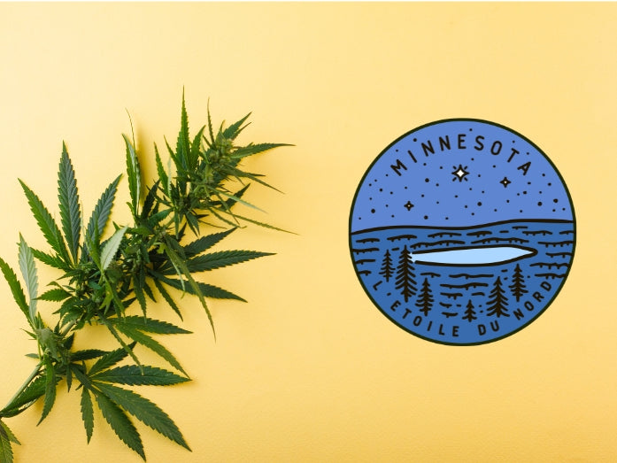 Minnesota Marijuana Legalization Bill Receives Major Overhaul