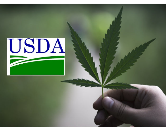 USDA’s ‘Climate-Smart’ Program Barely Includes Hemp