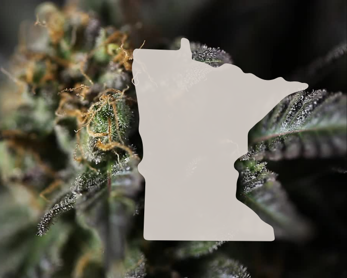 Is hemp THC a threat to Minnesota’s medical cannabis dispensaries?