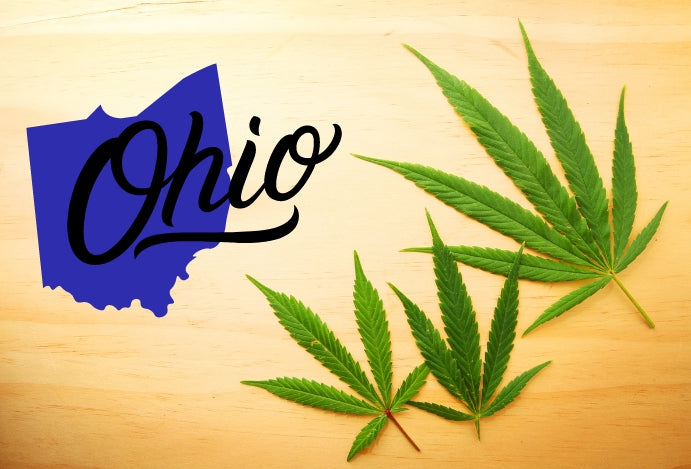 Influential Ohio Democratic Senator Decries the House GOP Leadership’s Failure to Enact Adult-Use Cannabis Law