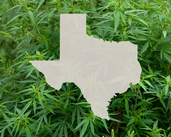 For Texas farmers, hope and frustration over hemp grow side by side