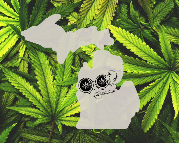 Will Michigan’s new cannabis rules give delta-8 THC an edge on the recreational market?