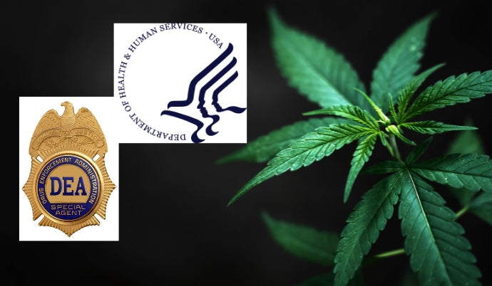 Biden Administration Releases Unredacted Exchange Between Federal Agencies Recommending Cannabis Rescheduling