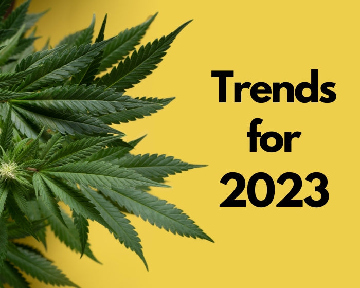 Top Cannabis Industry Trends To Pay Attention To In 2023