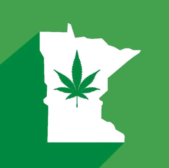 Minnesota Cities Are Adopting Temporary Bans on Cannabis Ahead of Legalization