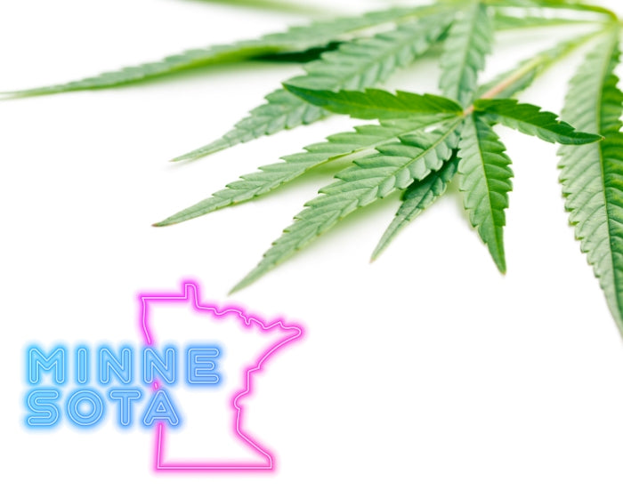 MN Cannabis Legalization Bill Continues To Move Forward