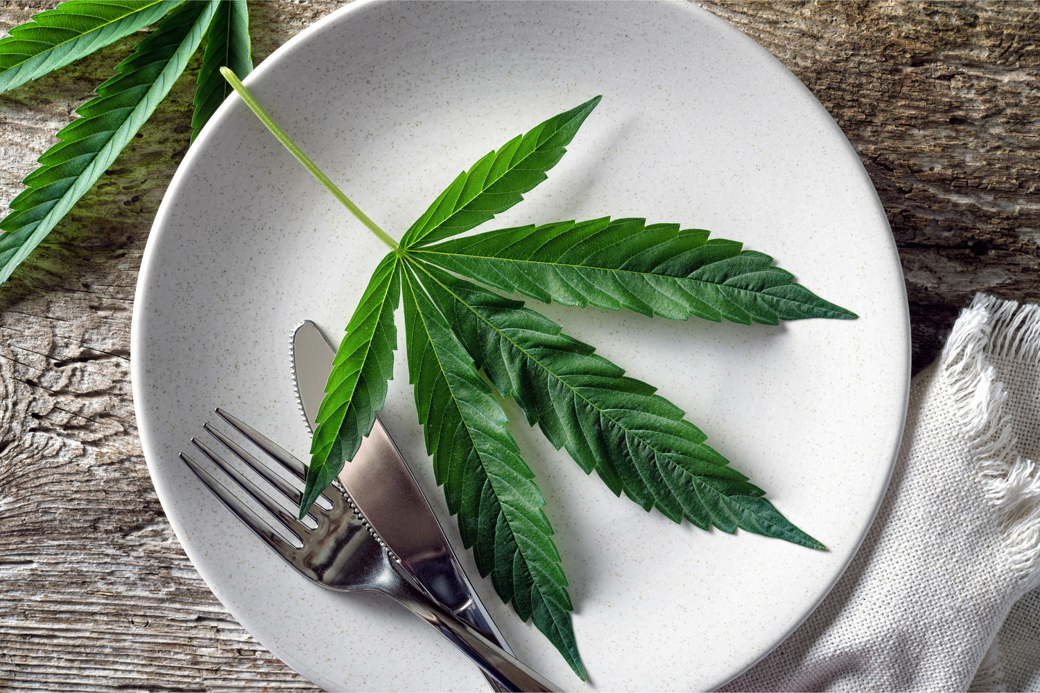 Restaurants and grocery stores may feature hemp salad sooner than you might think