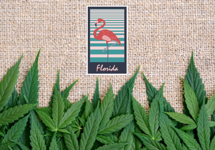 Florida House Committee Approves the State’s Most Restrictive Hemp Legislation to Date