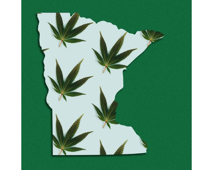 Cannabis Regulators in Minnesota Share Plan for Legalization Rollout