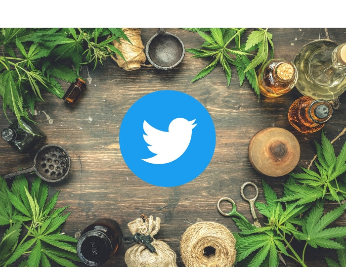 Twitter To Allow Cannabis Ads In The U.S.